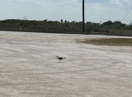 River City RV Park