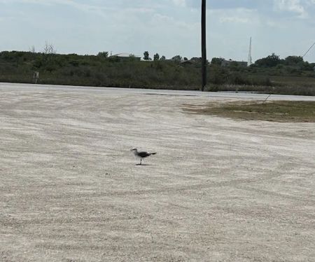 River City RV Park
