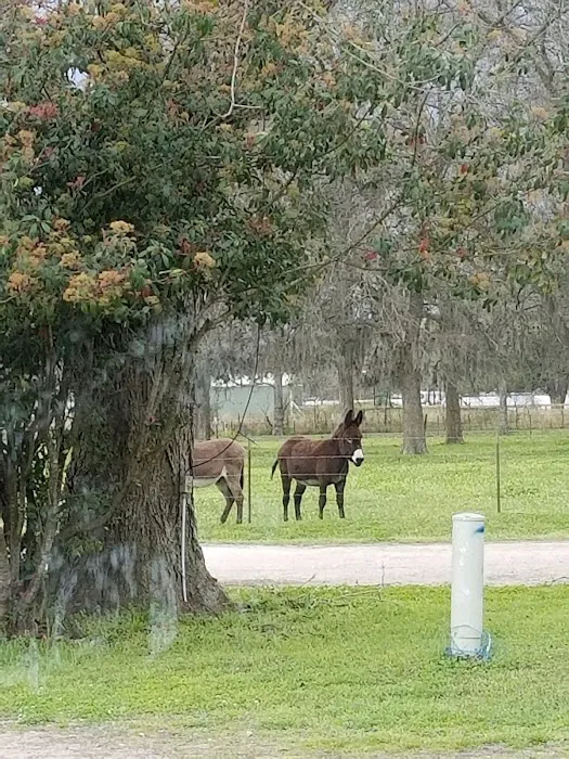 Shiloh RV Park Picture 9