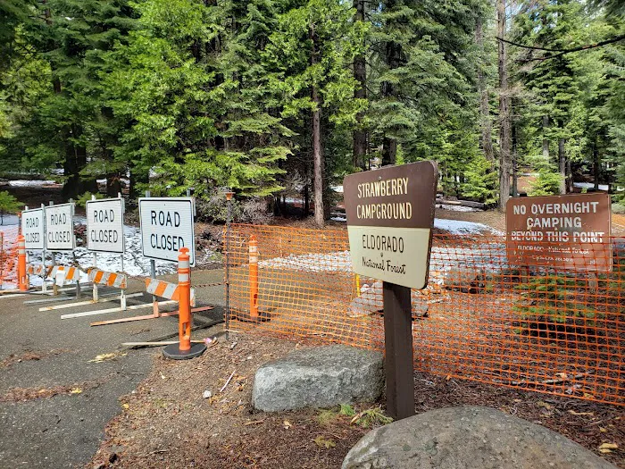 Strawberry Point Campground Picture 2
