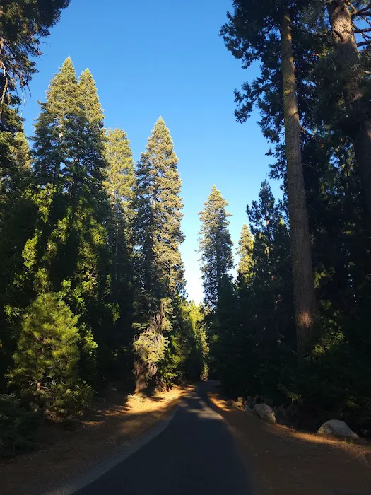 Strawberry Point Campground Picture 4