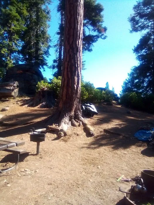 Strawberry Point Campground Picture 6