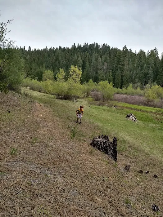 Strawberry Point Campground Picture 9