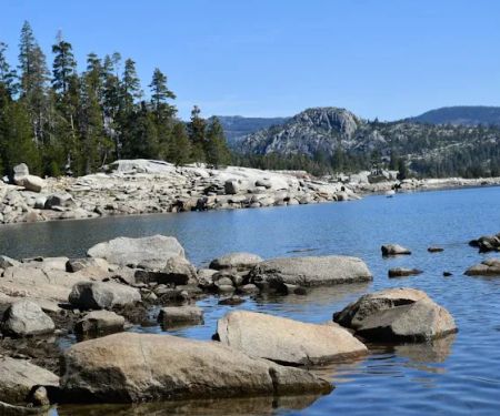 Loon Lake Group Campground #1