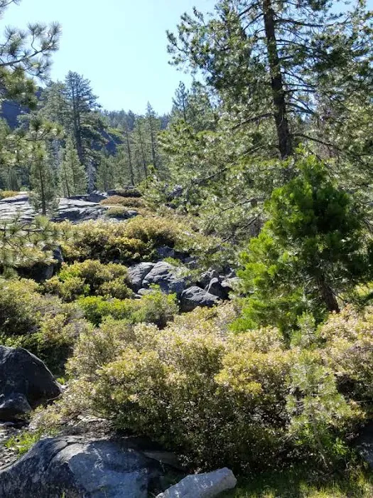 Wentworth Springs Campground Picture 6