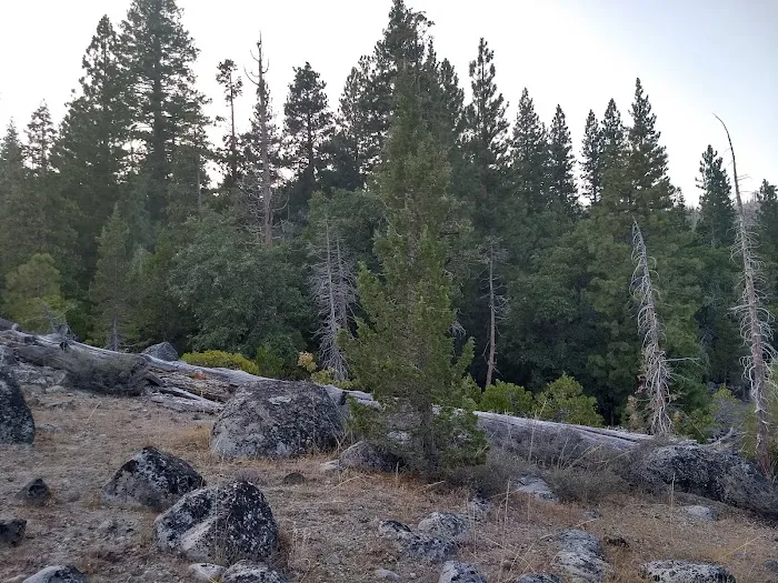 Hell Hole Campground Picture 4