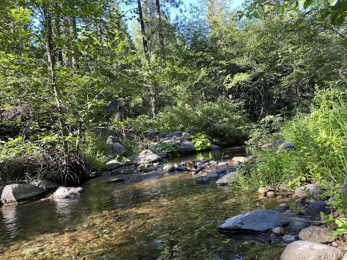 Middle Meadows Group Campground Picture 2