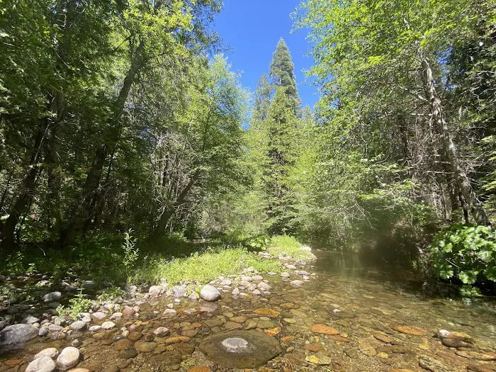 Middle Meadows Group Campground Picture 3