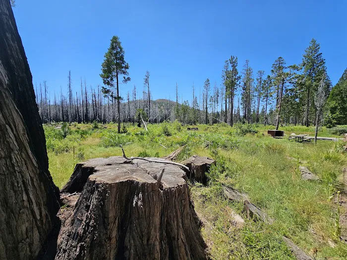 Big Meadows Campground Picture 4