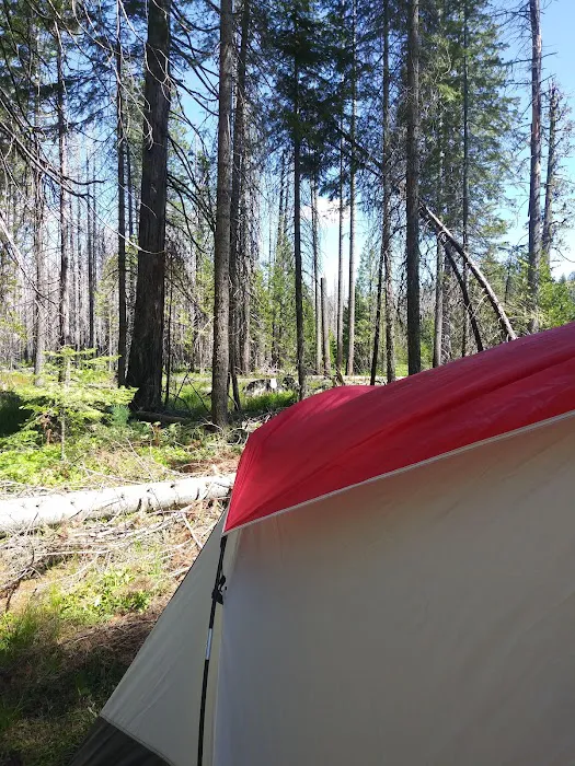 Big Meadows Campground Picture 6