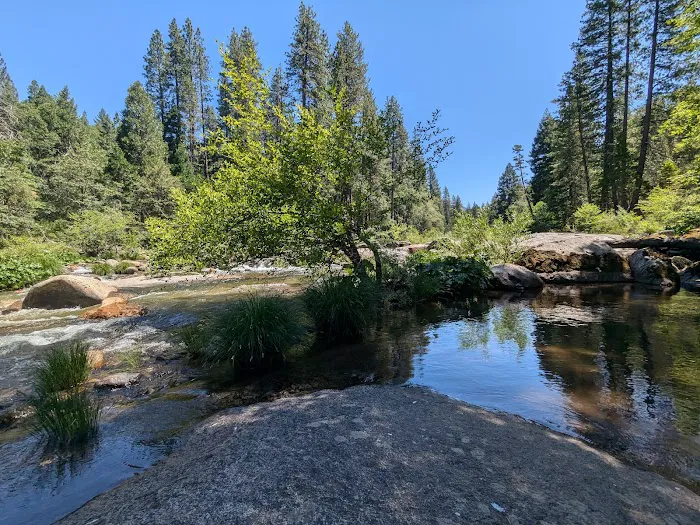 Sand Flat Campground Picture 2