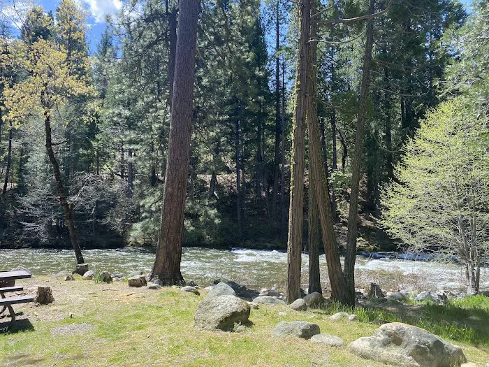 Sand Flat Campground Picture 4