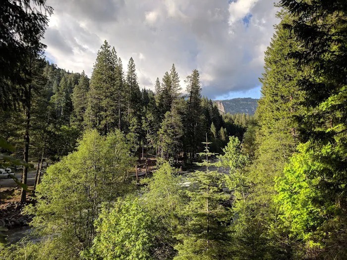 Sand Flat Campground Picture 5