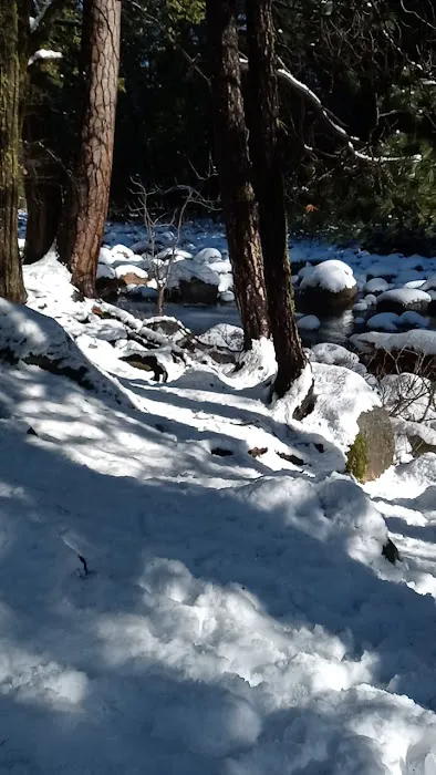 Sand Flat Campground Picture 9