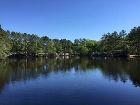 Lone Star Lakes RV Park Picture 8