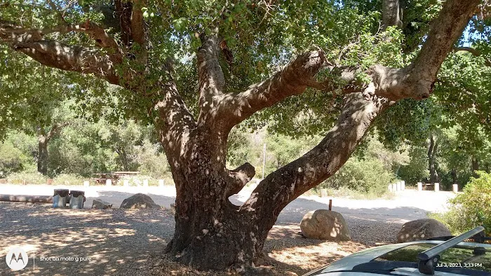 Wildomar Campground Picture 1
