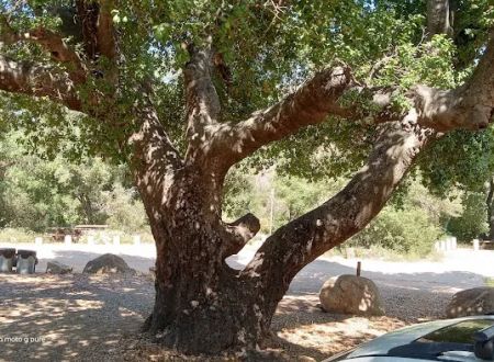 Wildomar Campground