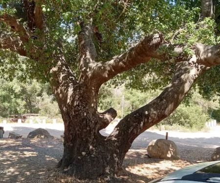 Wildomar Campground