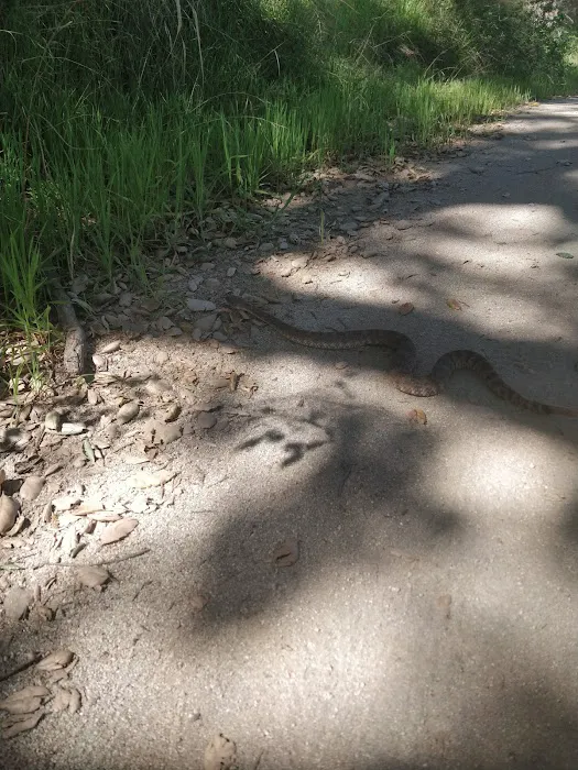 El Cariso Campground Picture 6