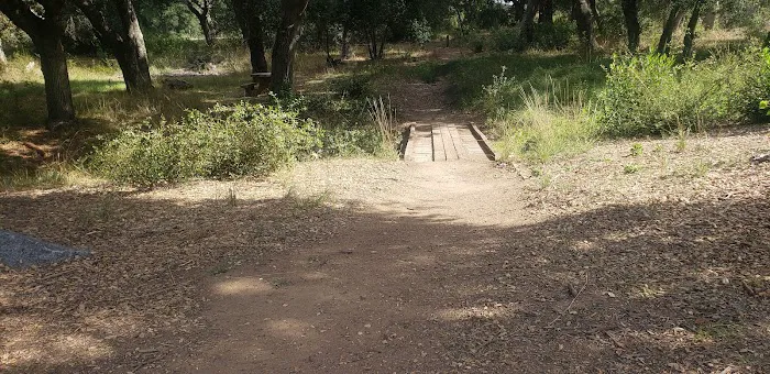 El Cariso Campground Picture 9