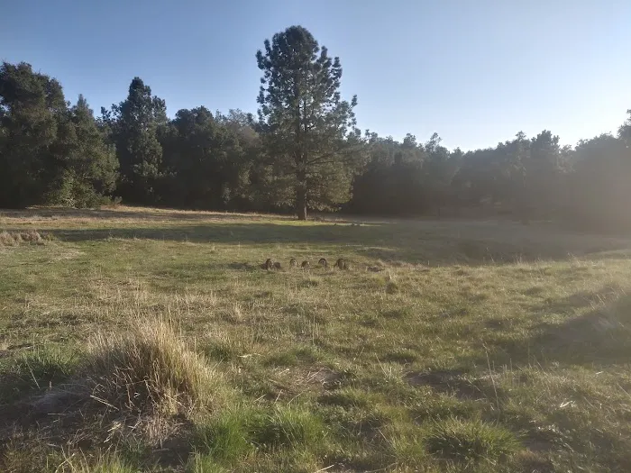 Blue Jay Campground Picture 4