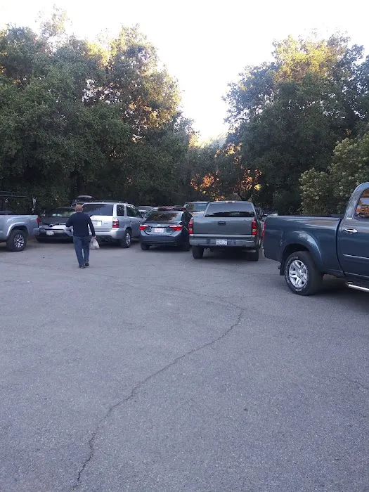 Falcon Group Campground Picture 9