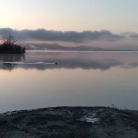 Coyote Cove Lakeside Camping ico