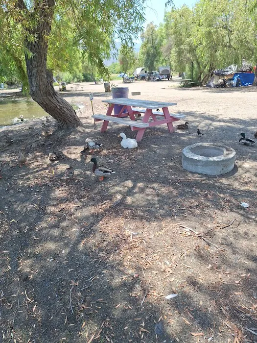 Coyote Cove Lakeside Camping Picture 8