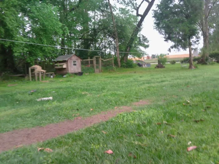 Caney Park Picture 4