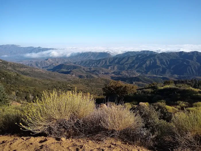 Reyes Peak Campground Picture 3