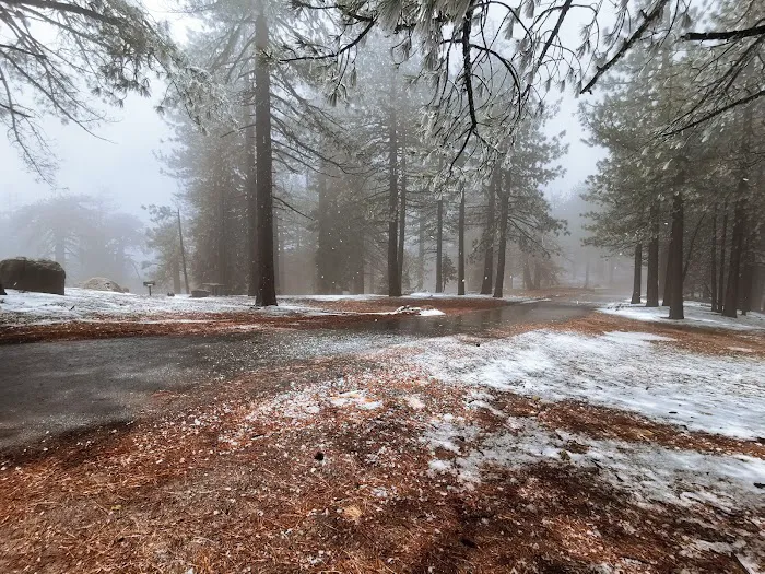 Reyes Peak Campground Picture 4