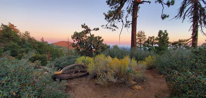 Reyes Peak Campground Picture 5
