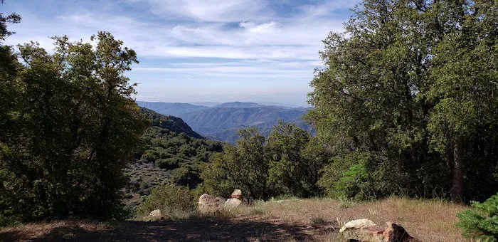 Reyes Peak Campground Picture 9