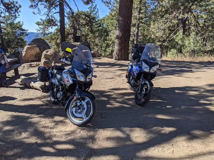 Reyes Peak Campground Picture 7