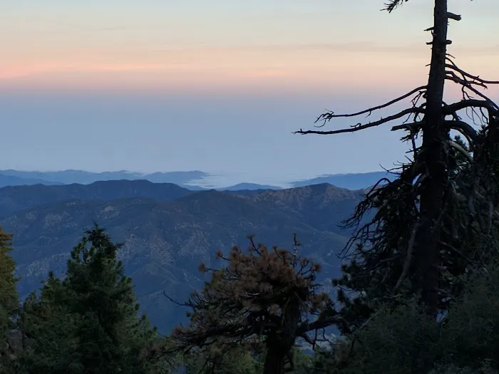 Reyes Peak Campground Picture 10