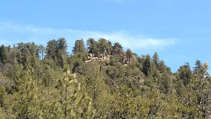Chorro Springs Campground Picture 3