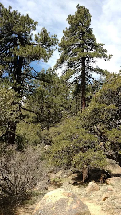 Chorro Springs Campground Picture 1