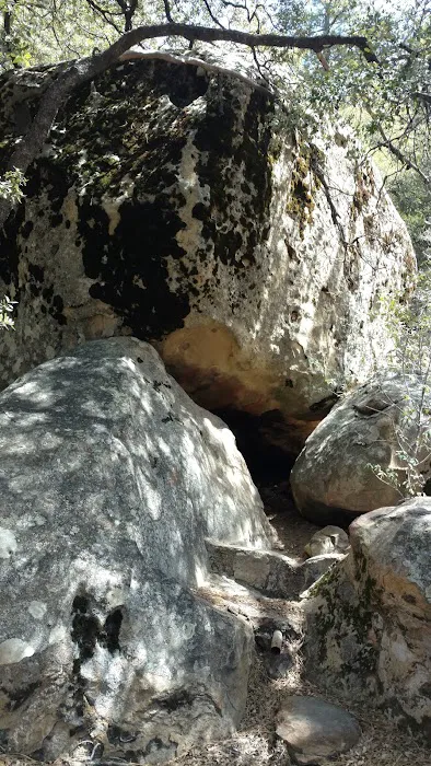 Chorro Springs Campground Picture 2