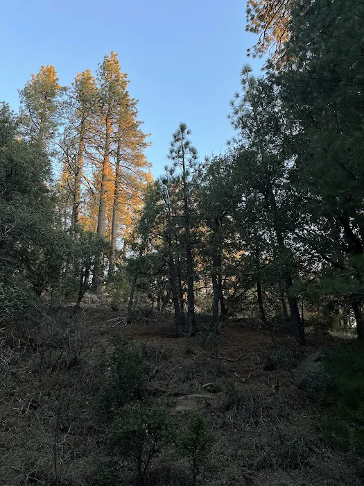 Chorro Springs Campground Picture 4