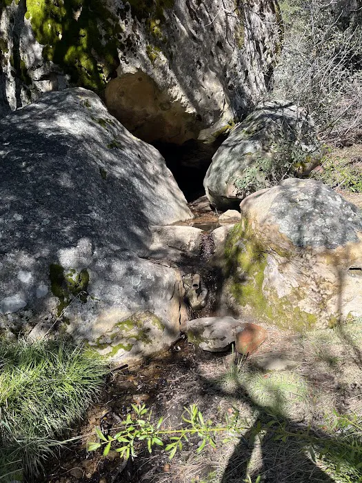 Chorro Springs Campground Picture 5