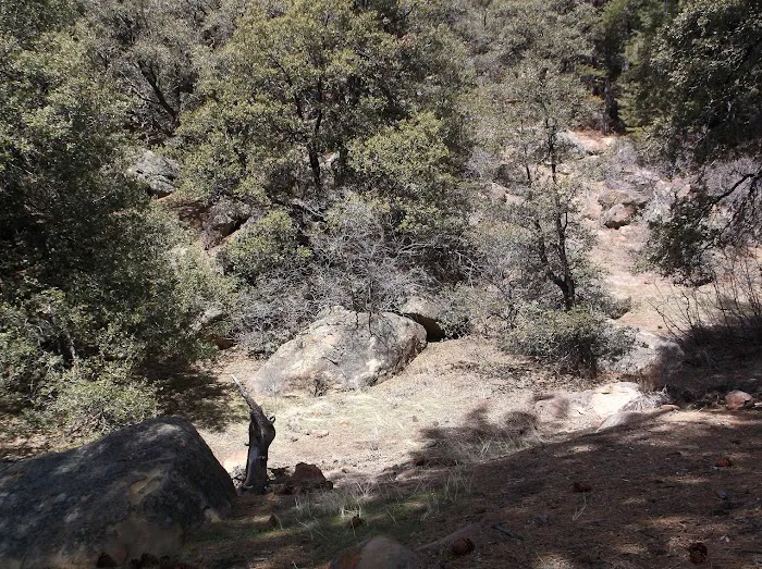 Chorro Springs Campground Picture 10