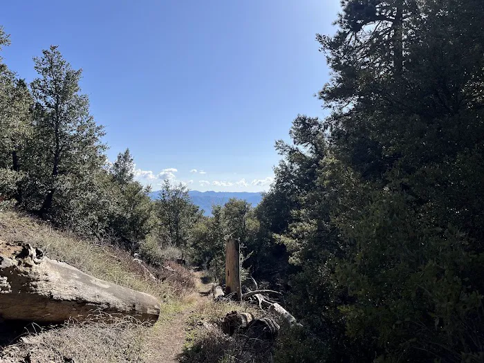Chorro Springs Campground Picture 9