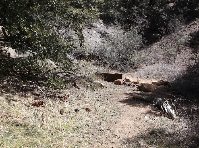 Chorro Springs Campground Picture 8