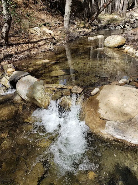 Reyes Creek Campground Picture 1