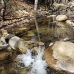 Reyes Creek Campground