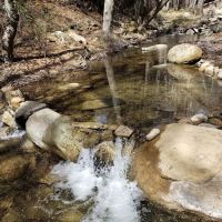 Reyes Creek Campground ico