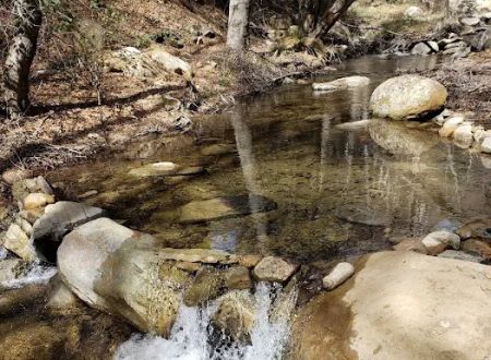Reyes Creek Campground
