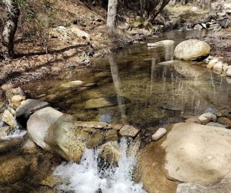 Reyes Creek Campground