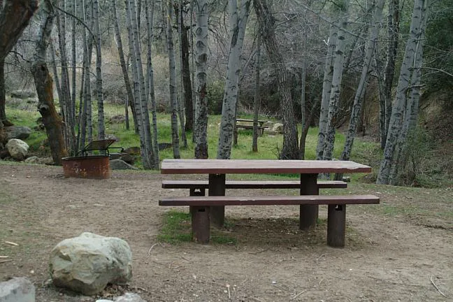 Reyes Creek Campground Picture 3