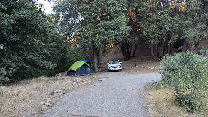 Reyes Creek Campground Picture 4